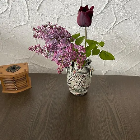 Am Waldrand Appartement Attendorn